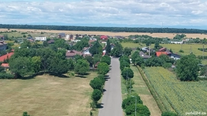   Servicii de gradinarit  