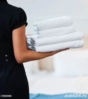 Angajam - camerista .