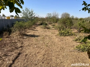 Închiriez tocător de crengi, motoburghiu, vibrator  beton + alte echipamente