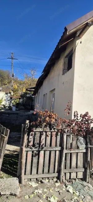 Casa de vanzare comuna Scundu, sat Avramesti - imagine 3