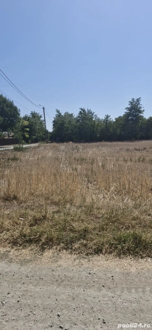 teren casa (intravilan) - imagine 2