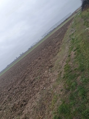 Vând teren extravilan 2,5 ha la PREȚ REDUS !  - imagine 4