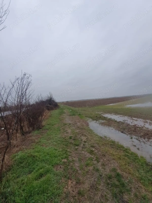 Vând teren extravilan 2,5 ha la PREȚ REDUS !  - imagine 3