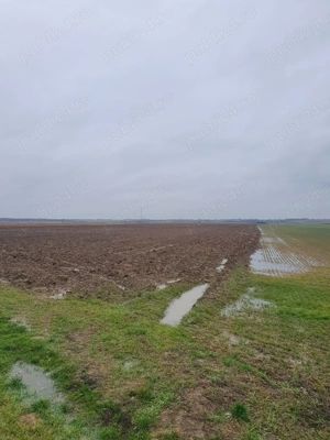 Vând teren extravilan 2,5 ha la PREȚ REDUS !  - imagine 5