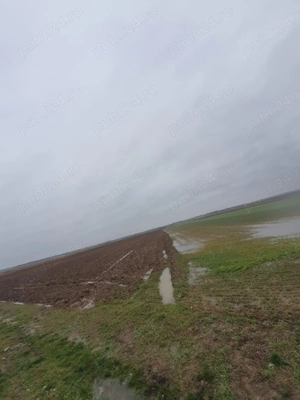 Vând teren extravilan 2,5 ha la PREȚ REDUS !  - imagine 7