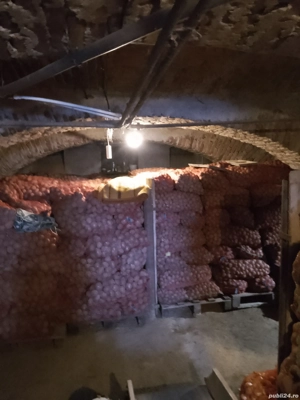 Vand cartofi consum, sămânță  - imagine 5