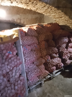 Vand cartofi consum, sămânță  - imagine 2