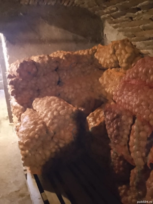 Vand cartofi consum, sămânță  - imagine 4