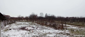 Casă de vanzare în comuna Bârsa, judetul Arad  - imagine 5