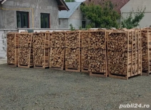 lemne de foc fag paleți 