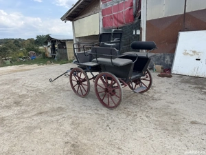 Vand trasura maraton  - imagine 4