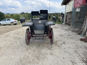 Vand trasura maraton  - imagine 3