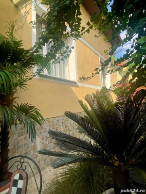 Casa individuală Musicescu. Timisoara 