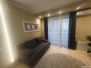 lilion apartament regim hotelier - imagine 4