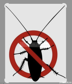 Deratizare case , apartamente, garsoniere ,spati comerciale 