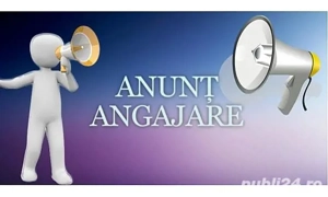 Firma angajeaza fara experienta testeri de jocuri 