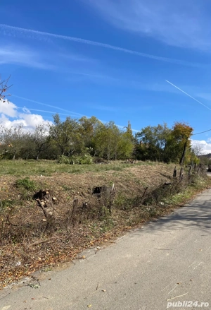 Oportunitate ! Teren Intravilan 3.000 mp, Liniște, Spațiu, Construcții Imediate   - imagine 4