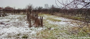 Casă de vanzare în comuna Bârsa, judetul Arad  - imagine 10