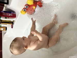 Oi de vânzare (3 oi și un berbec )