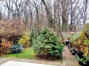 Vila Baneasa la liziera padurii, zona Liceul Francez, Sector 1, Bucuresti