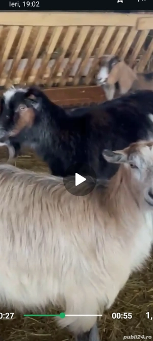 vand urgent - imagine 3