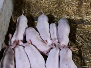 De vânzare  - imagine 5