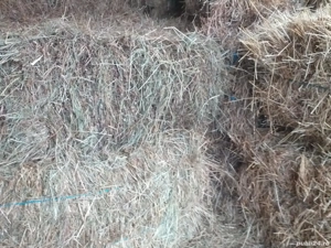 Vând baloți de fan - imagine 2