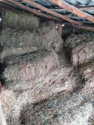 Vând baloți de fan