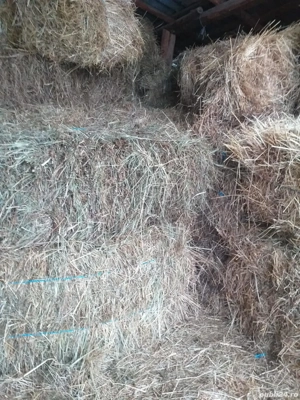 Vând baloți de fan - imagine 3