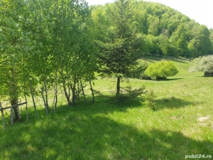 Vand teren intravilan  - imagine 7