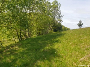 Vand teren intravilan  - imagine 4