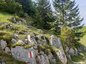 Vand teren intravilan  - imagine 5