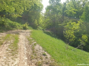 Vand teren intravilan  - imagine 9