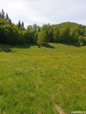 Vand teren intravilan  - imagine 6