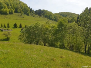 Vand teren intravilan  - imagine 10