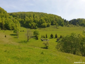 Vand teren intravilan  - imagine 2