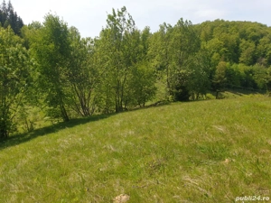 Vand teren intravilan  - imagine 8