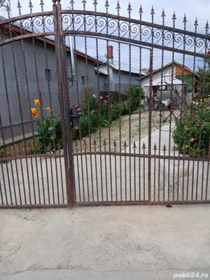 Sudor  executam lucrări  în gospodărie  - imagine 2