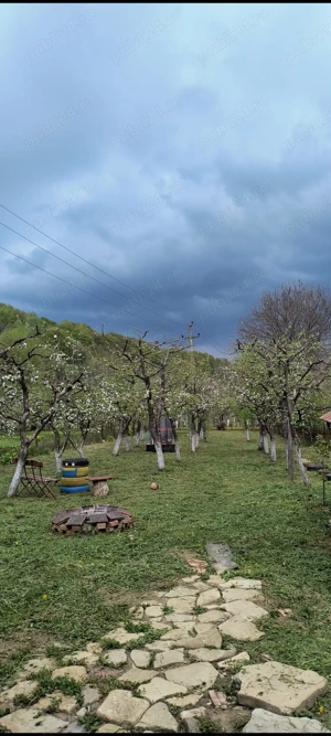 Vând casa cu mansarda și livada cu meri la poalele muntelui Leaota  - imagine 2