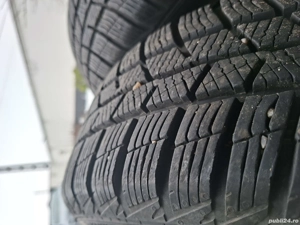 Roti iarna - imagine 2