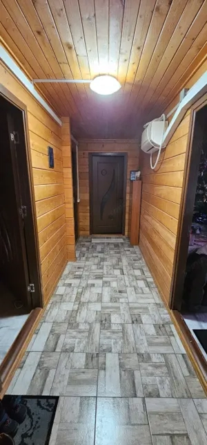 HORIA - 3 CAMERE ,SUPRAFATA 100 MP,TEREN 3000 MP CU DESCHIDERE LA LAC - imagine 11