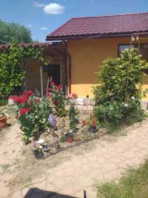 HORIA - 3 CAMERE ,SUPRAFATA 100 MP,TEREN 3000 MP CU DESCHIDERE LA LAC - imagine 13