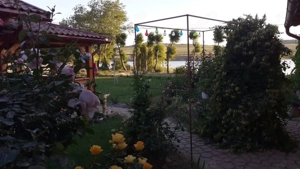 HORIA - 3 CAMERE ,SUPRAFATA 100 MP,TEREN 3000 MP CU DESCHIDERE LA LAC - imagine 19