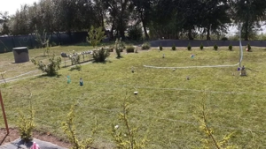 HORIA - 3 CAMERE ,SUPRAFATA 100 MP,TEREN 3000 MP CU DESCHIDERE LA LAC - imagine 18