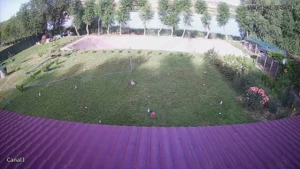 HORIA - 3 CAMERE ,SUPRAFATA 100 MP,TEREN 3000 MP CU DESCHIDERE LA LAC - imagine 15