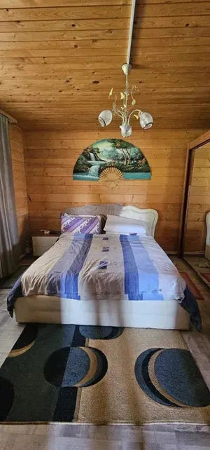 HORIA - 3 CAMERE ,SUPRAFATA 100 MP,TEREN 3000 MP CU DESCHIDERE LA LAC - imagine 8