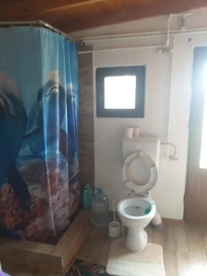 HORIA - 3 CAMERE ,SUPRAFATA 100 MP,TEREN 3000 MP CU DESCHIDERE LA LAC - imagine 10