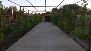 HORIA - 3 CAMERE ,SUPRAFATA 100 MP,TEREN 3000 MP CU DESCHIDERE LA LAC - imagine 4