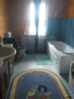 HORIA - 3 CAMERE ,SUPRAFATA 100 MP,TEREN 3000 MP CU DESCHIDERE LA LAC - imagine 9