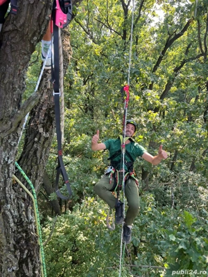 Serevicii de Arboristica 